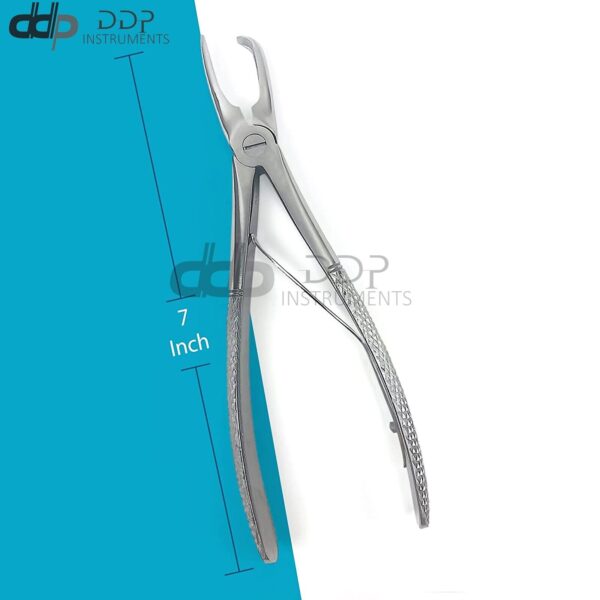 Tartar Remover Forceps Small 7''& Dental Surgical Oral Hygiene Plaque German Grade