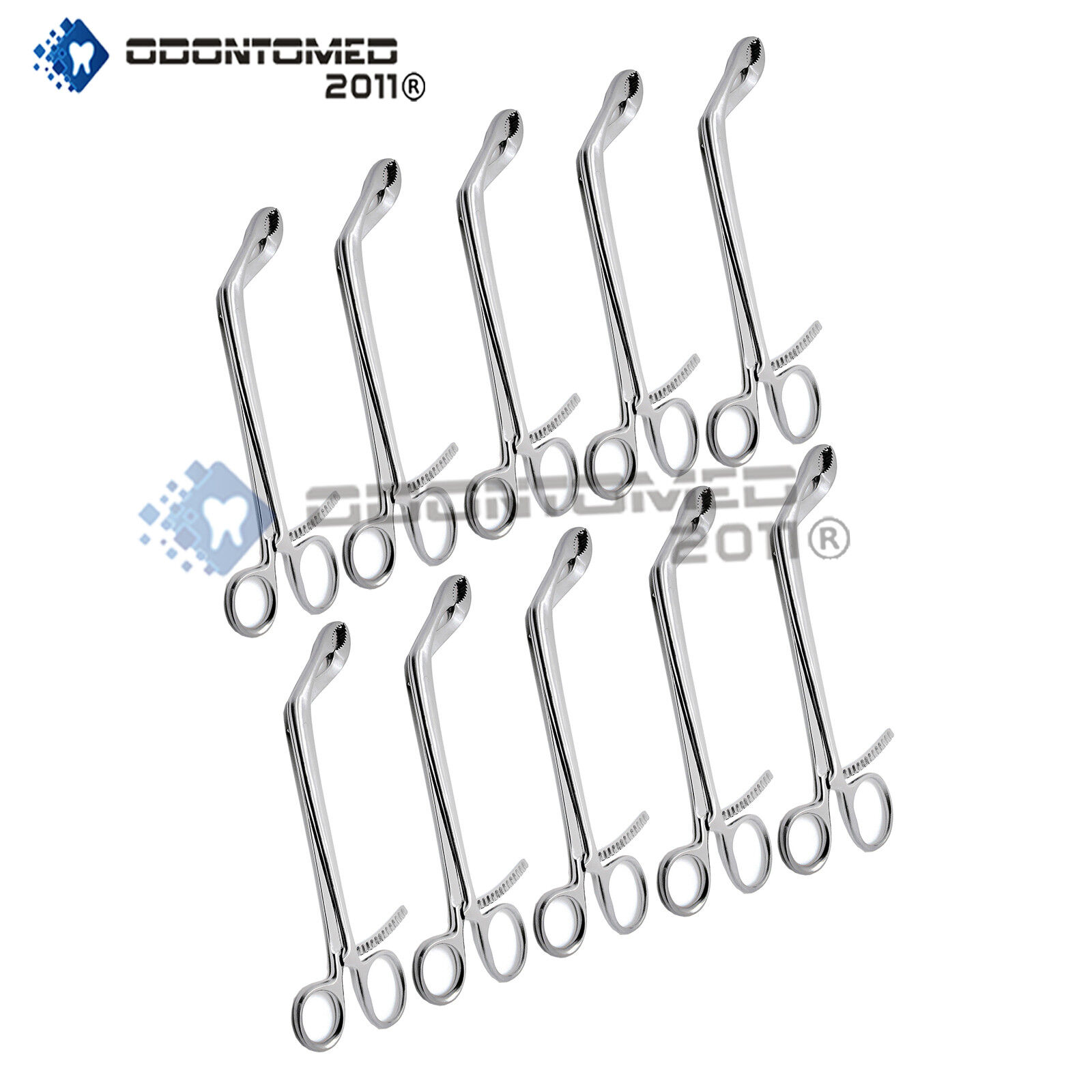 10-Pcs-Veterinary-Verbrugge-Bone-Holding-Forceps-1075-Jaws-105mm-Surgical-Set-134297294234
