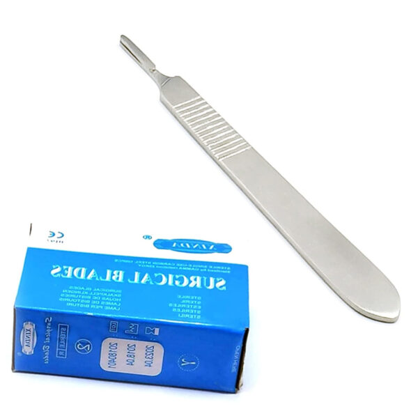 1000 Scalpel Blades #20 Surgical Dental ENT Instruments with Free #4 Handle New