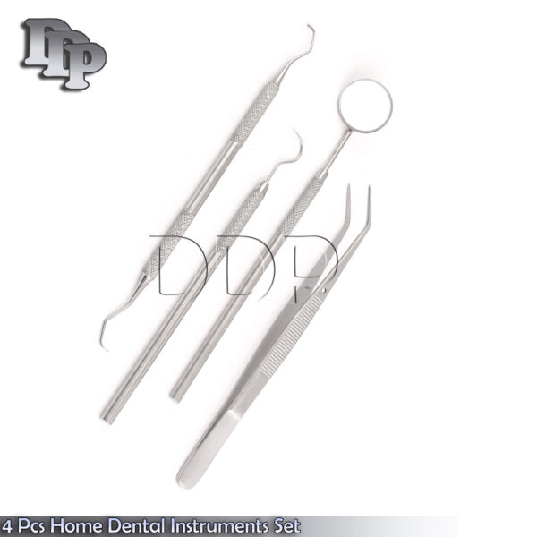 4 Pcs Home Dental Heyinge Pick Tools Scaler Kit Set PR-0086