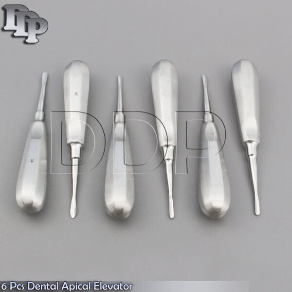 6 PCS STRAIGHT DENTAL SURGERY EXTRACTING APICAL ROOT TIP ELEVATORS #34 #34S #81