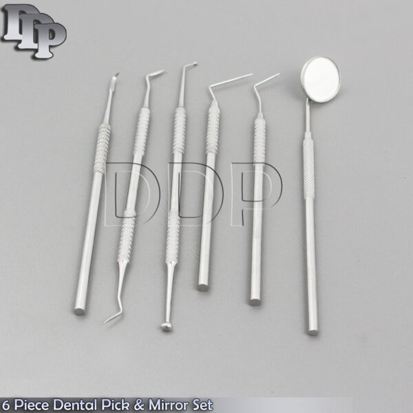 6 Piece Dental Pick & Mirror Set Dental Instrument PR-0024