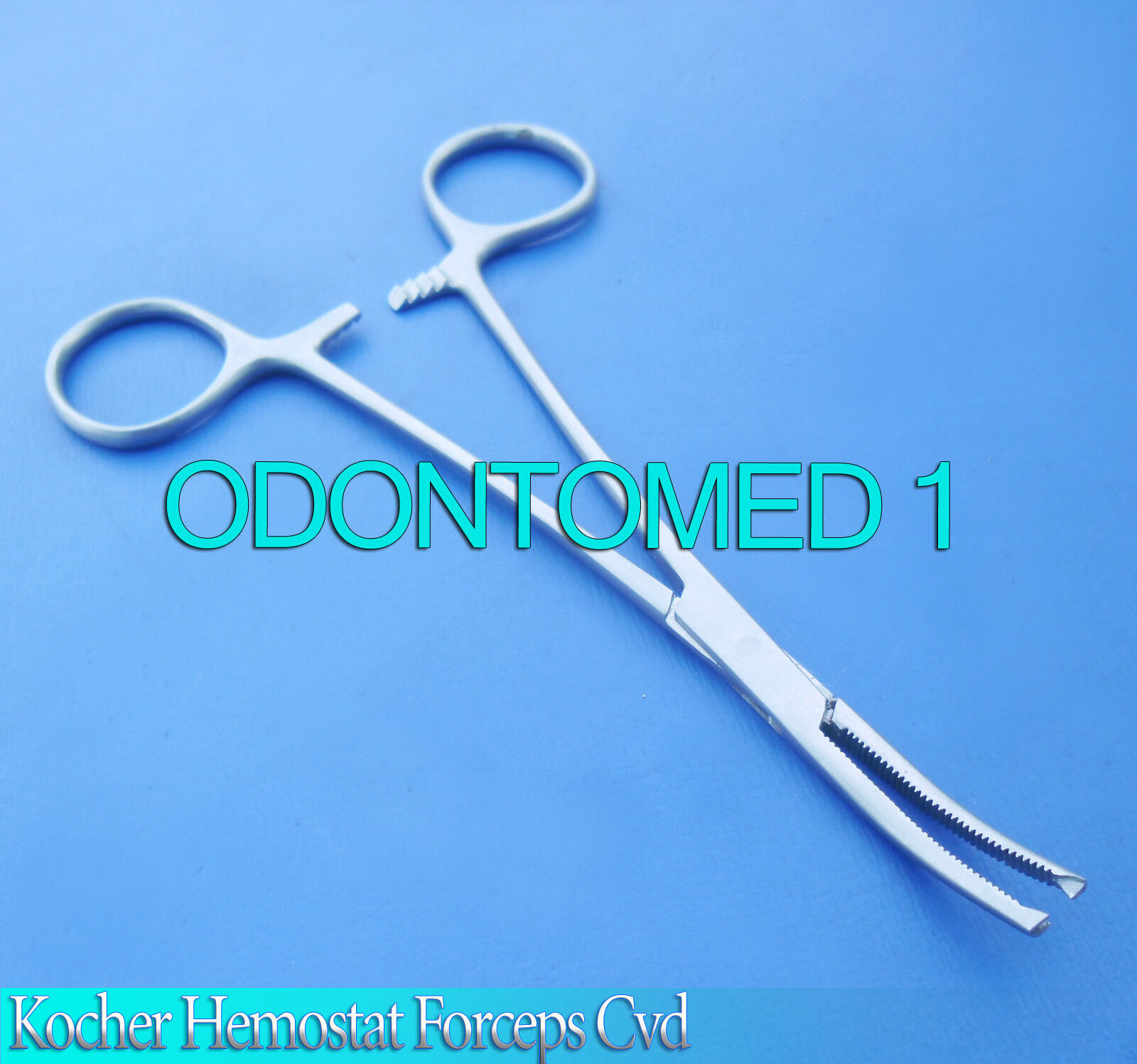 6-STAINLESS-STEEL-KOCHER-HEMOSTAT-ARTERY-TISSUE-1X2TEETH-FORCEP-8-CURVED-110946572344-2
