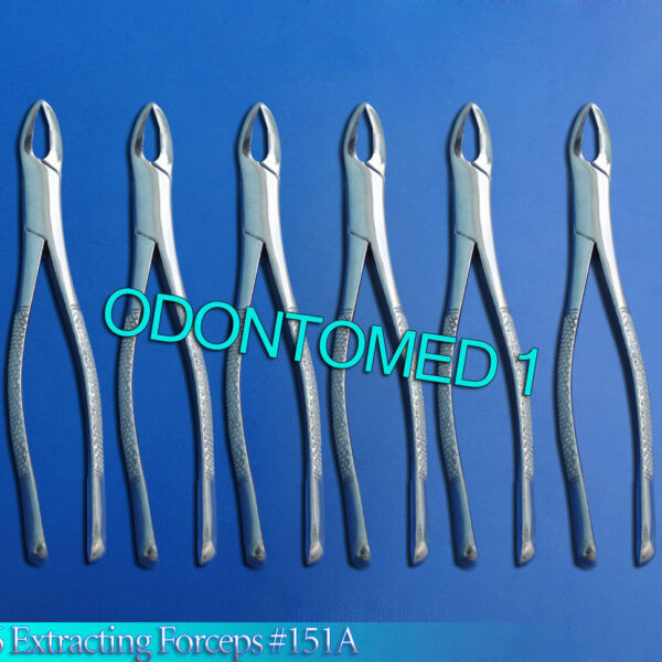 6 Tooth Extraction Forcep 151A Surgical Dental Instrument