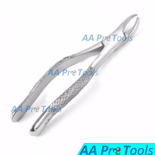 AA Pro: Extracting Forcep English Pattern Roots & Molar #89