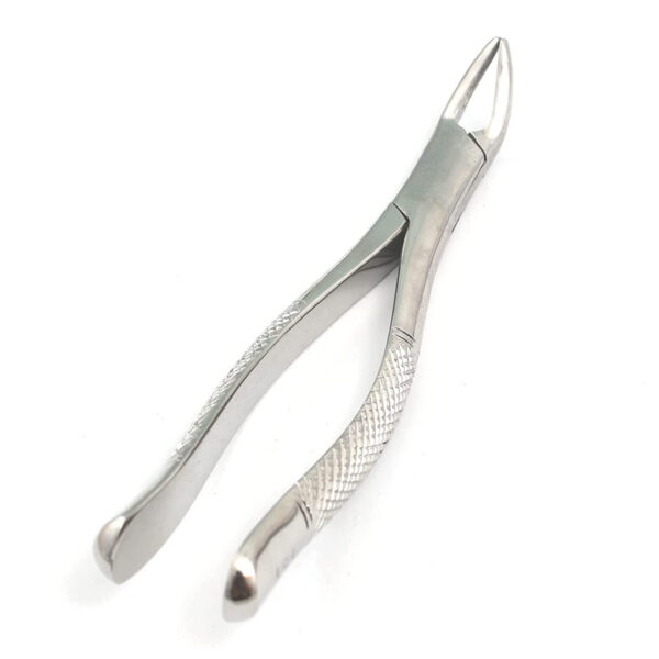Dental Extracting Forceps 151 Lower Root Teeth Surgical Steel Instruments New