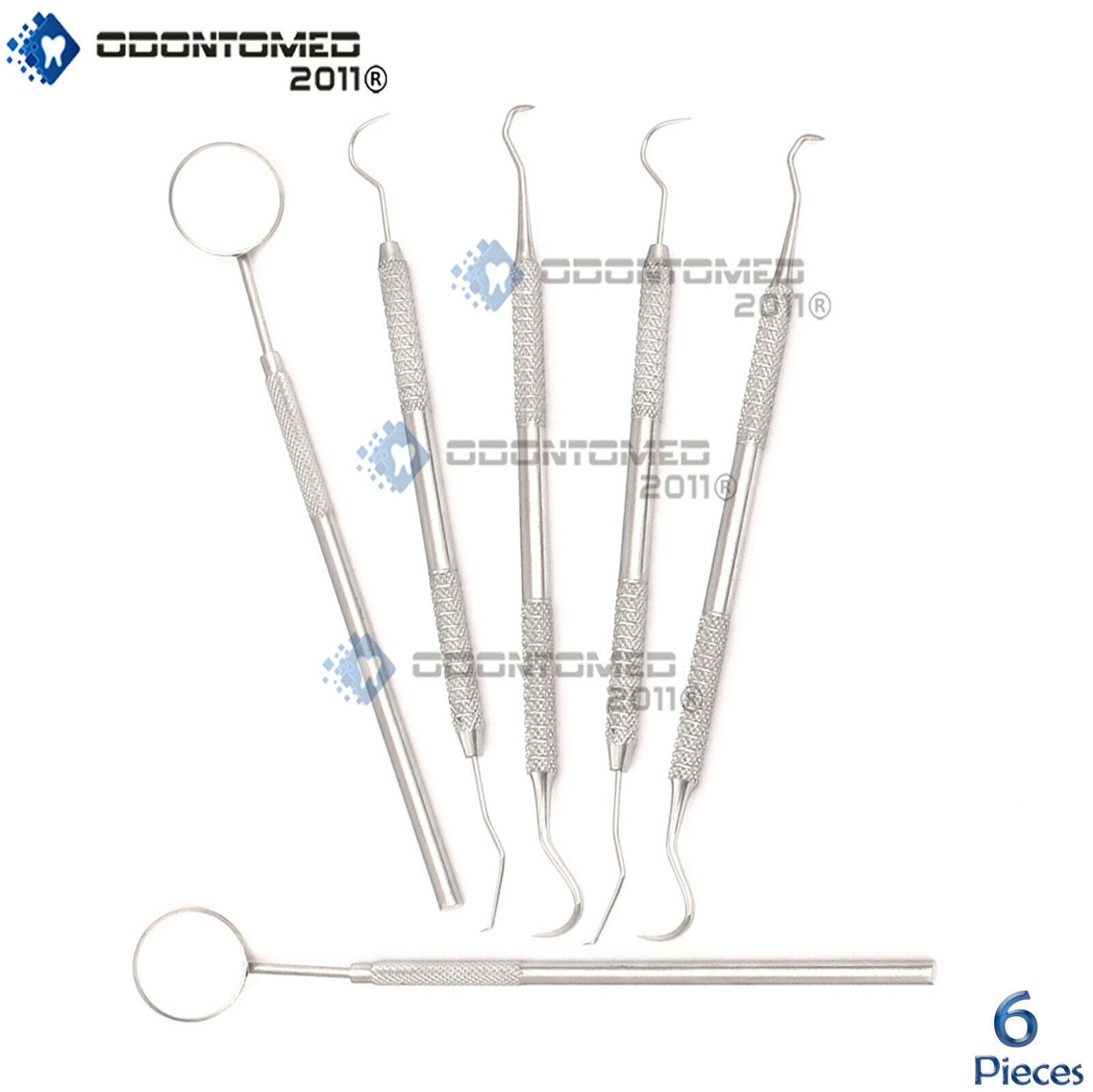 Dental-Hygiene-Kit-Calculus-Plaque-Remover-Set-Hygiene-Scaler-MirrorDentist-110985172374