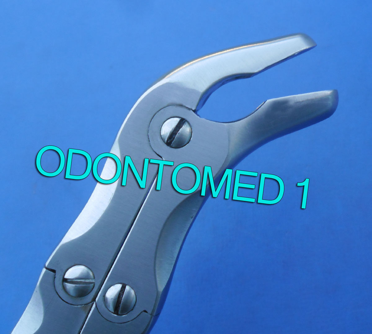 Echlin-Duckbill-Rongeur-900-229cm-Double-Action-120962160014-2