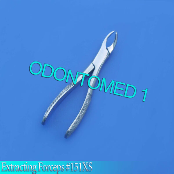 Extracting Forceps #151XS Surgical Dental Instruments