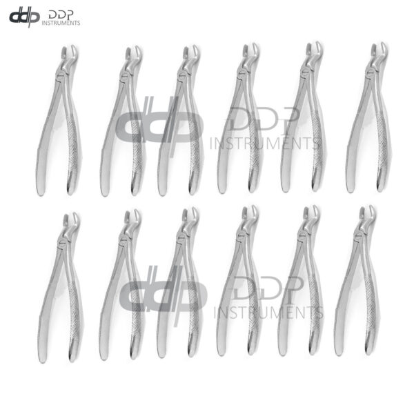 Lot Of 12 Pieces Dental Extracting Forceps # 67 Surgical Dental Instruments
