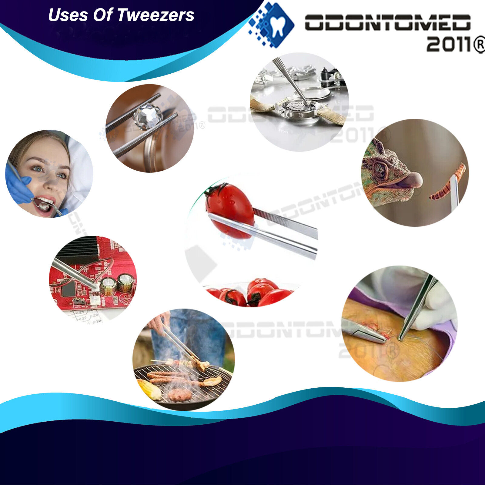 ODONTOMED-Surgical-Dental-Forceps-Dressing-Tweezers-Serrated-Tip-Pliers-Set-of-3-115717584404-2