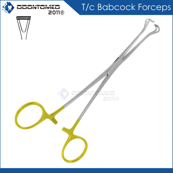 T/c Babcock Forceps 8" Surgical Instruments