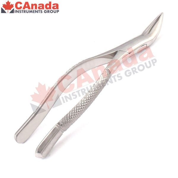 Tooth Extracting Forceps # 69 Stainless Steel Dental Instruments