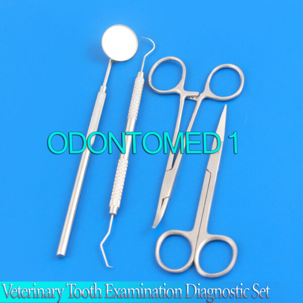 Veterinary Tooth Examination Diagnostic Set Dog Cat Grooming Kit Dental Surgery