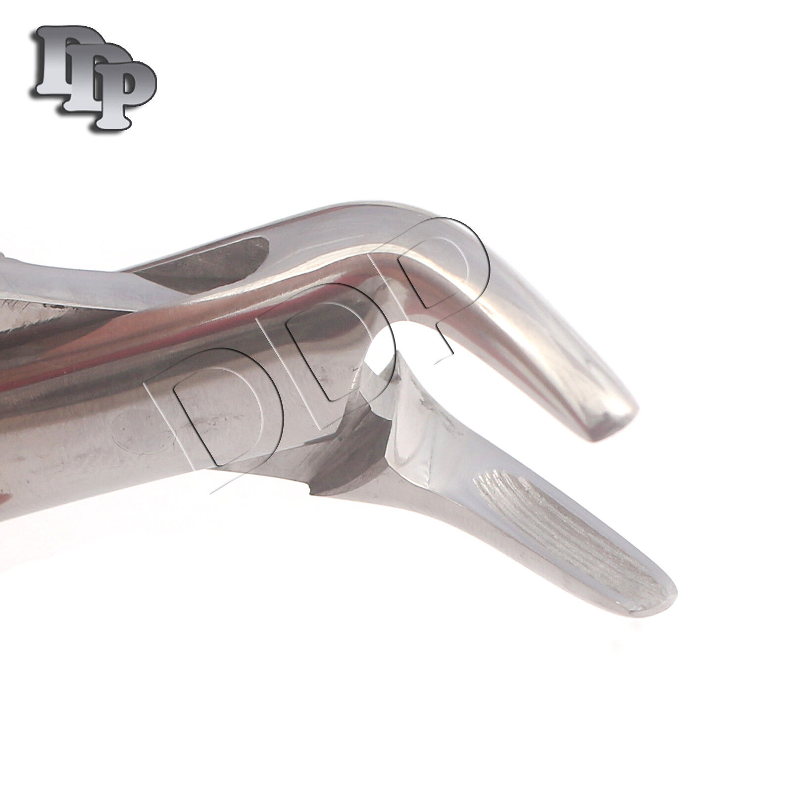 8-Pieces-Of-Dental-Tooth-Extracting-Forceps-151-instuments-121192276615-2