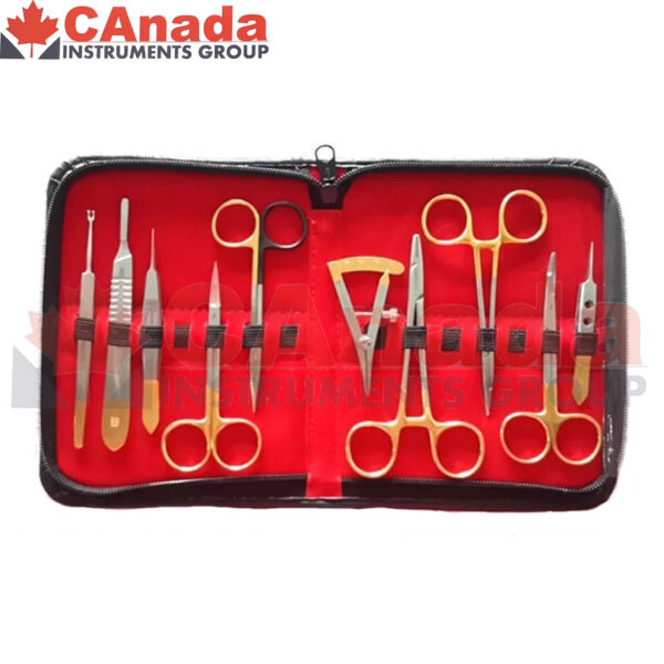 Blepharoplasty Kit, Plastic Surgery High Quality Instruments Kit Set of 10 Pcs