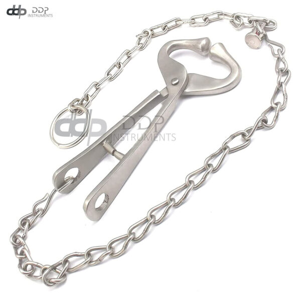 Bull Cow Nose Lead With Chain Show Cattle Eartag Vaccinator Stainless Steel