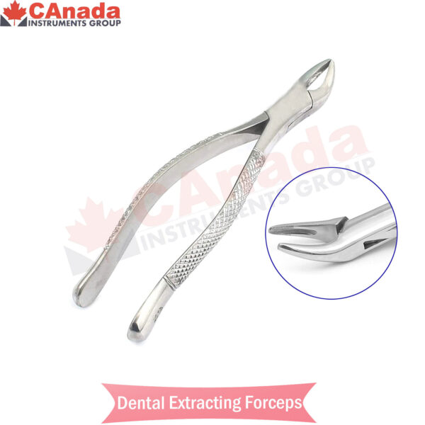 DENTAL EXTRACTING FORCEPS #62 DENTAL SURGICAL INSTRUMENTS