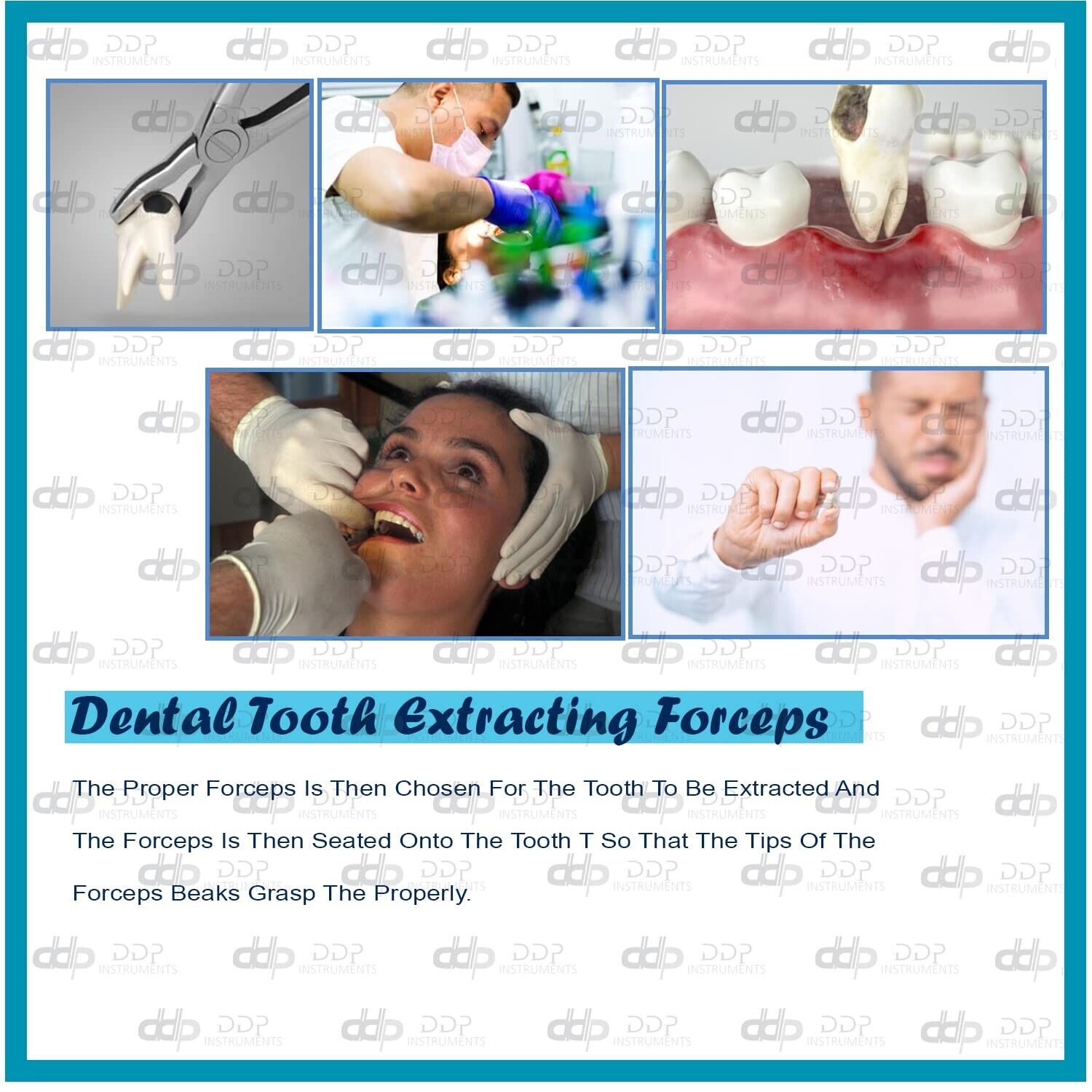 Dental-Extracting-Forceps-67-Surgical-Dental-Instruments-124639260095-3