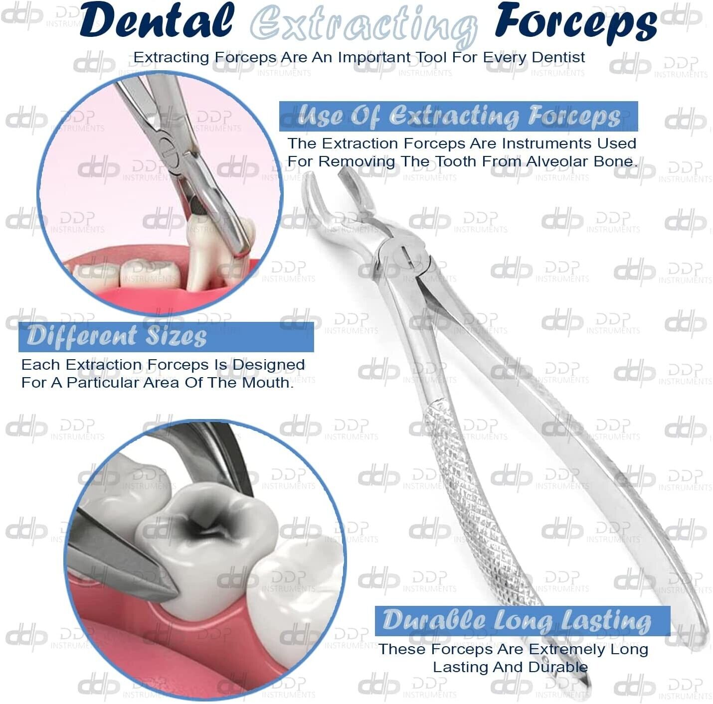 Dental-Extracting-Forceps-67-Surgical-Dental-Instruments-124639260095-4