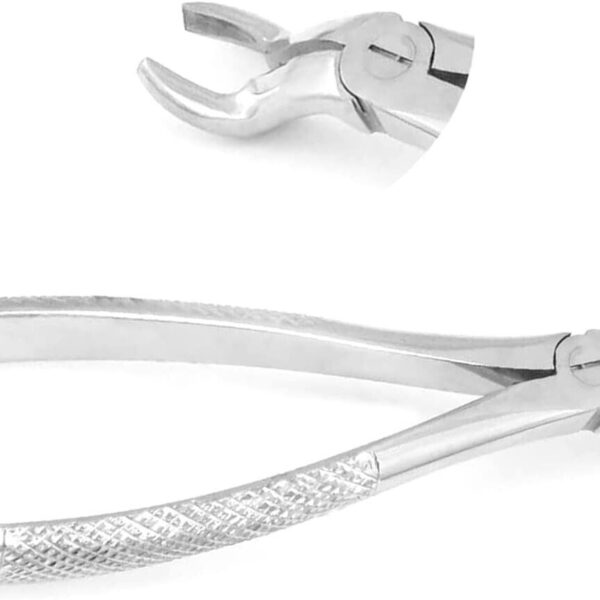 Dental Extracting Forceps # 67 Surgical Dental Instruments