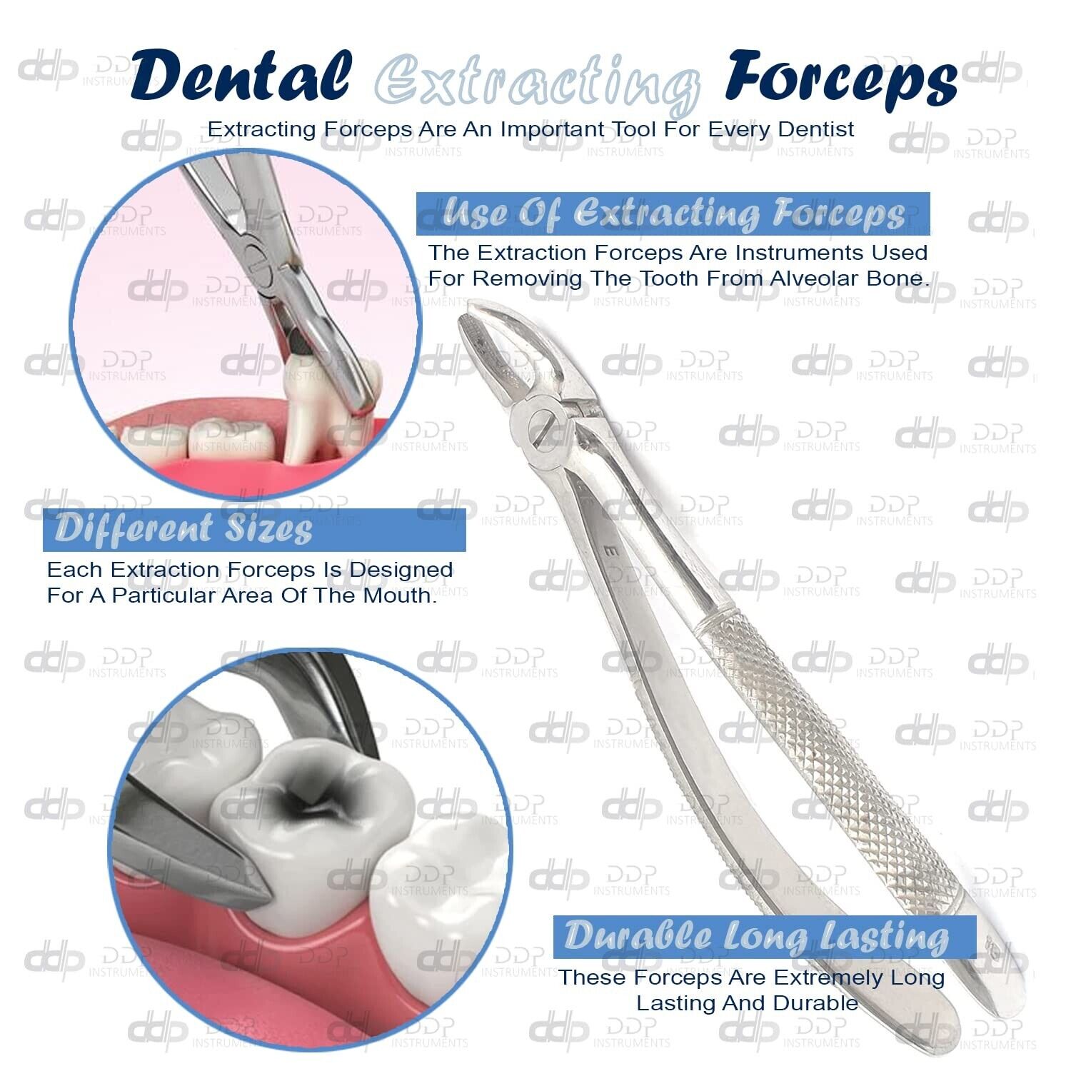 Dental-Tooth-Extracting-Forceps-18-Dental-Instruments-121197255955-3