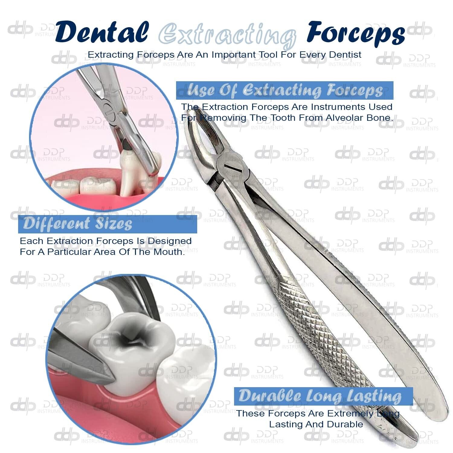 EXTRACTING-FORCEPS-MEAD-PATTERN-MD2-DENTAL-INSTRUMENTS-121341702515-4