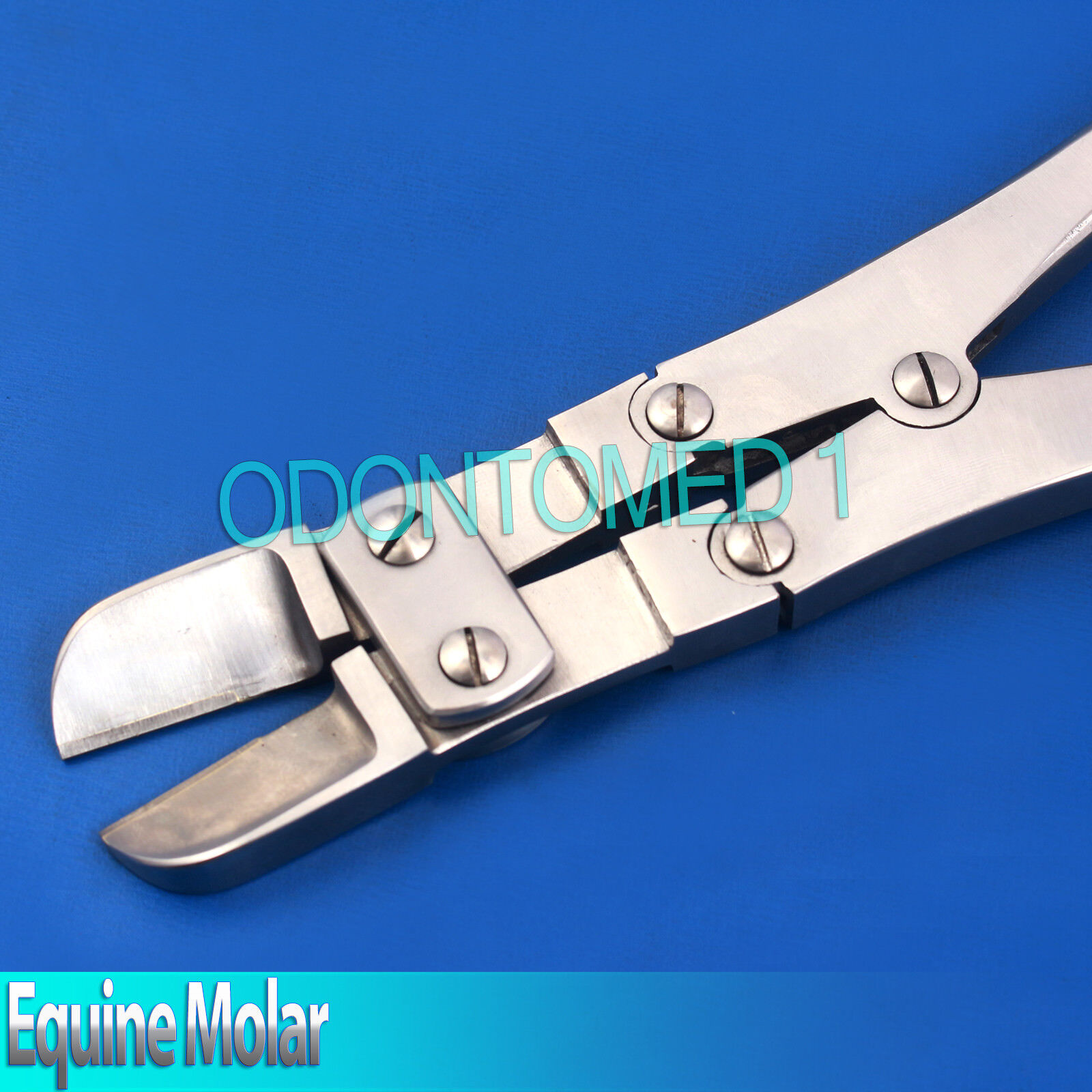Equine-Molar-Cutter-25-Veterinary-Instruments-ODM-V008-121873543235-2