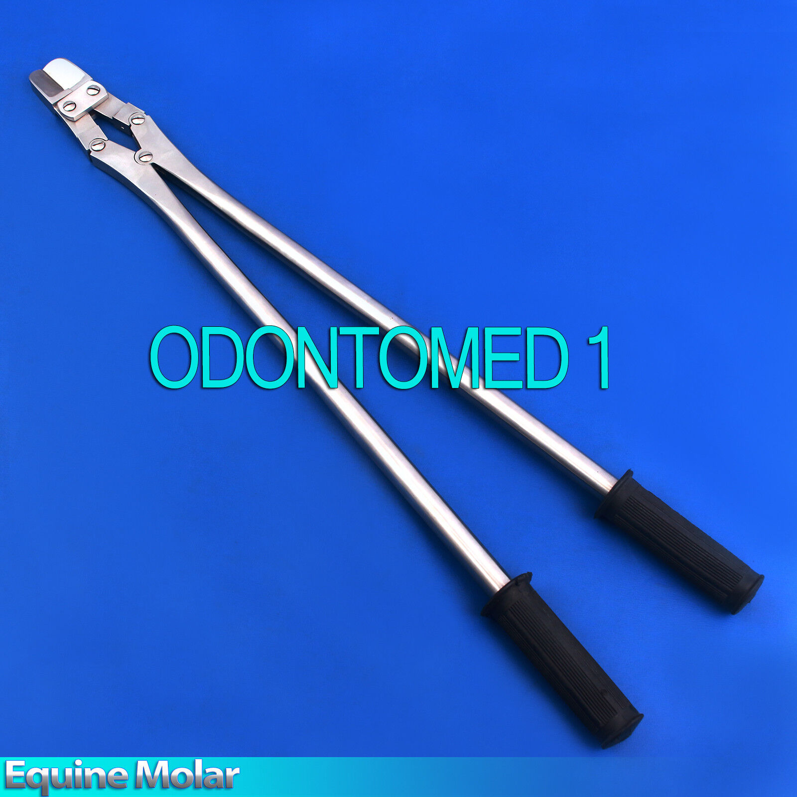 Equine-Molar-Cutter-25-Veterinary-Instruments-ODM-V008-121873543235-4