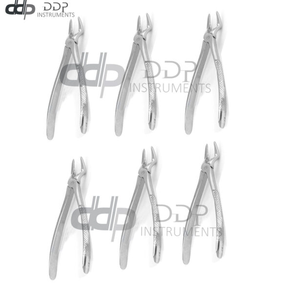 Lot Of 6 Pieces Of Dental Tooth Extracting Forceps #52 Surgical Instruments