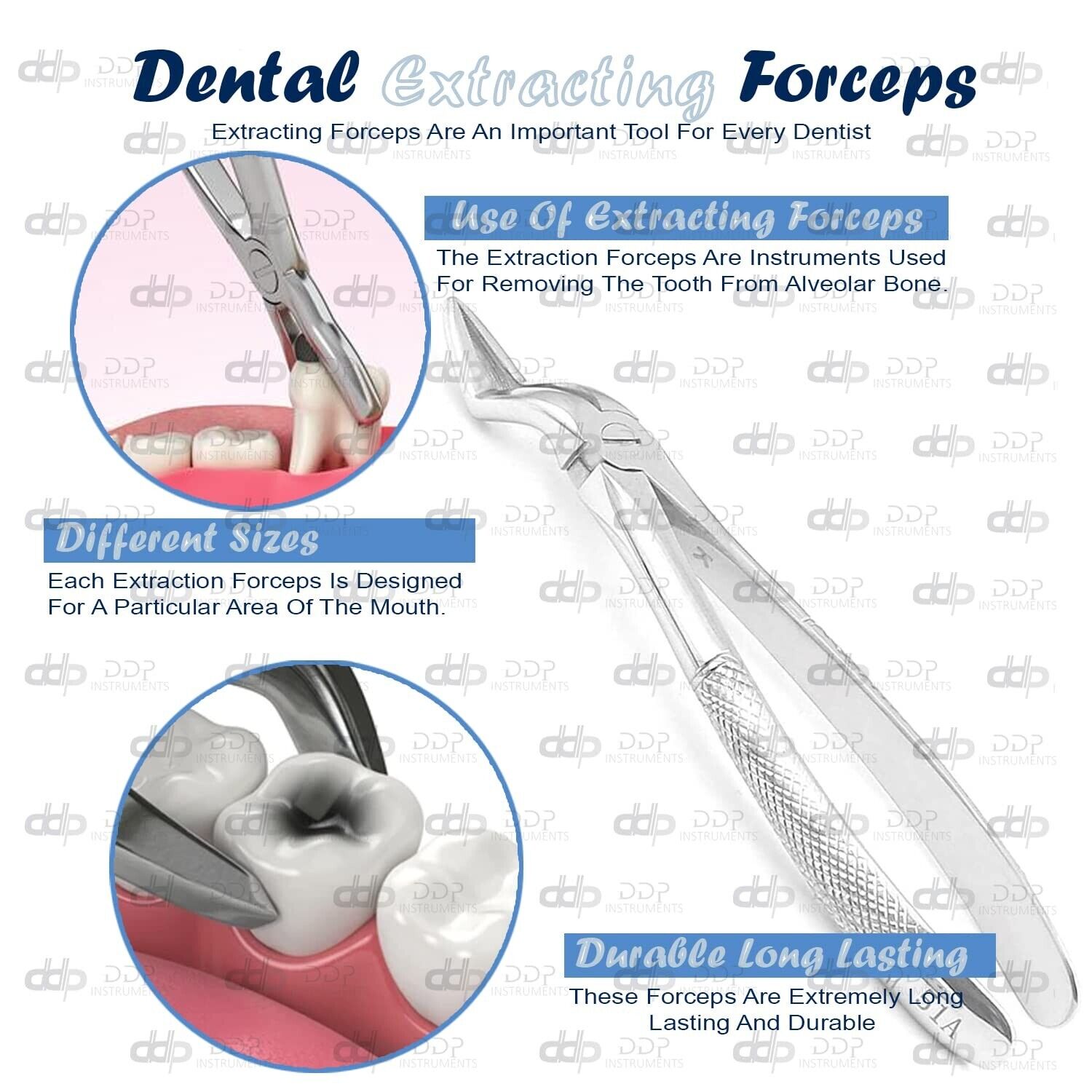 1-Piece-Of-Extracting-Forceps-51A-Dental-Surgical-Instruments-133694337056-5