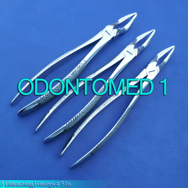 3 Extracting Forcep 51A Surgical Dental Instruments