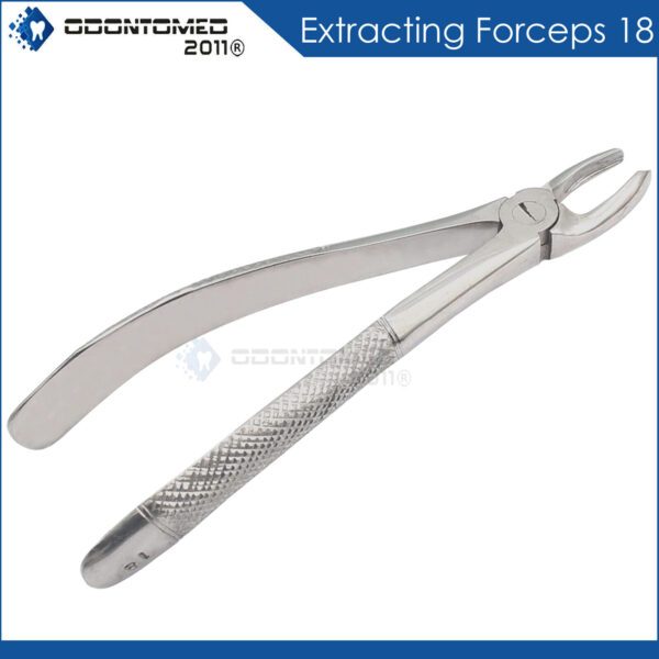 Dental Extracting Forceps #18 English Pattern Dental Instruments