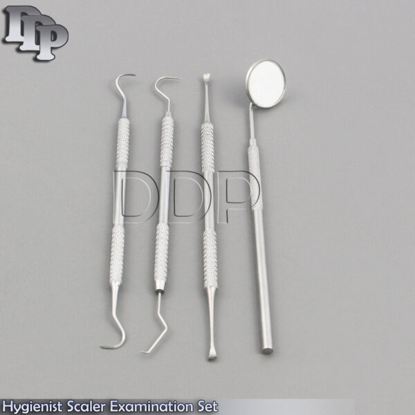 Dental Oral Teeth Cleaning Inspection Explorer Tartar Calculus Plaque PR-141