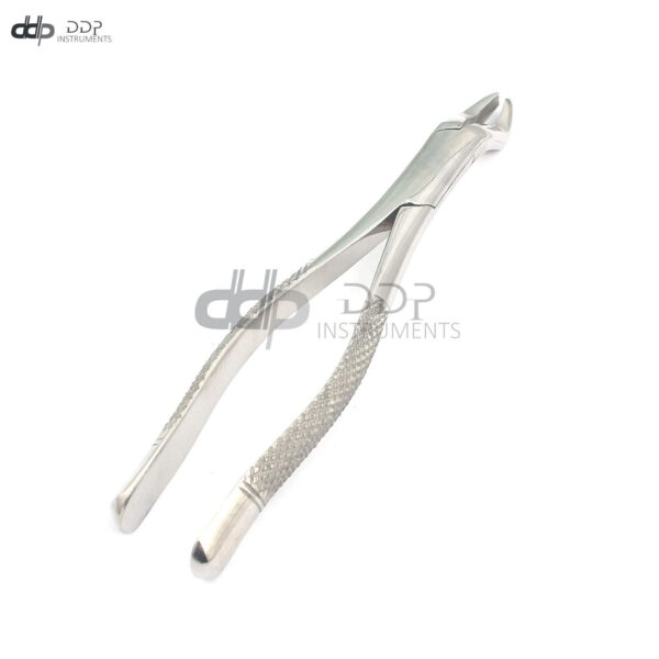 Dental Tooth Extracting Forceps #210 Surgical Dental Instruments