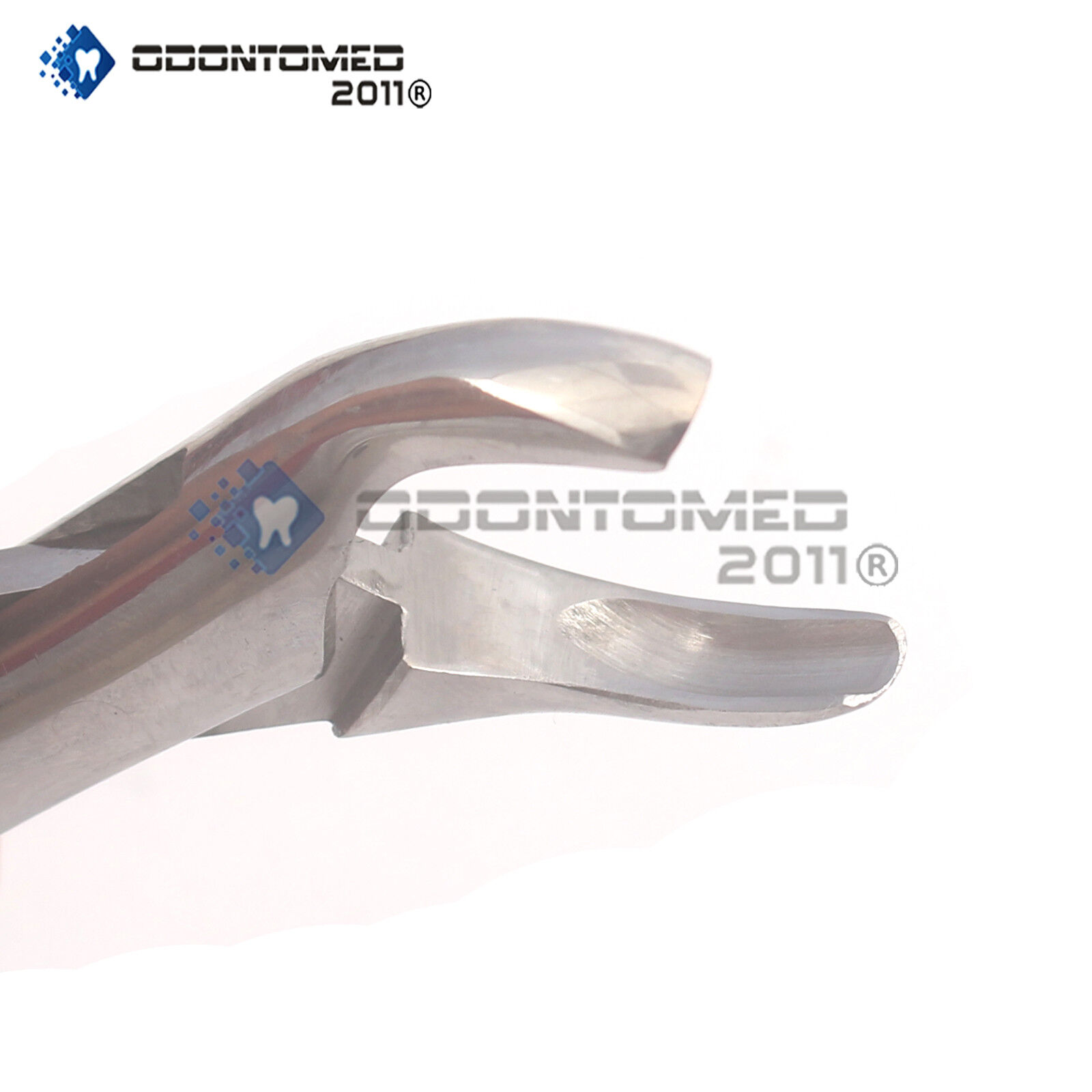 Extracting-Forceps-24-Surgical-Dental-Instruments-120918700976-2