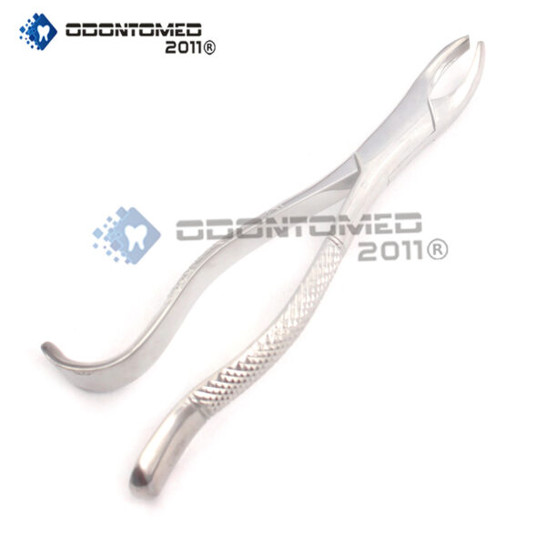 Extracting Forceps # 24 Surgical Dental Instruments