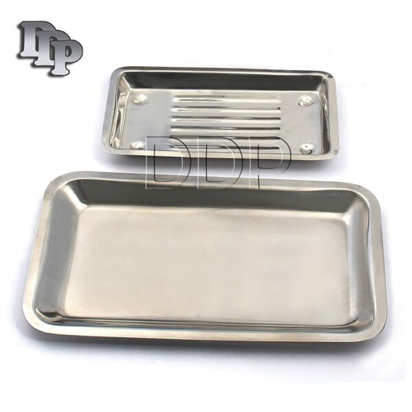 2 Dental Instruments Scaler Tray Lab Dentist Tools Autoclavable