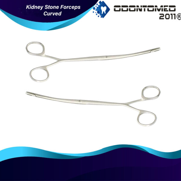 2 Randall Kidney Stone Forceps Quarter Curved Surgical & Veterinary Instruments