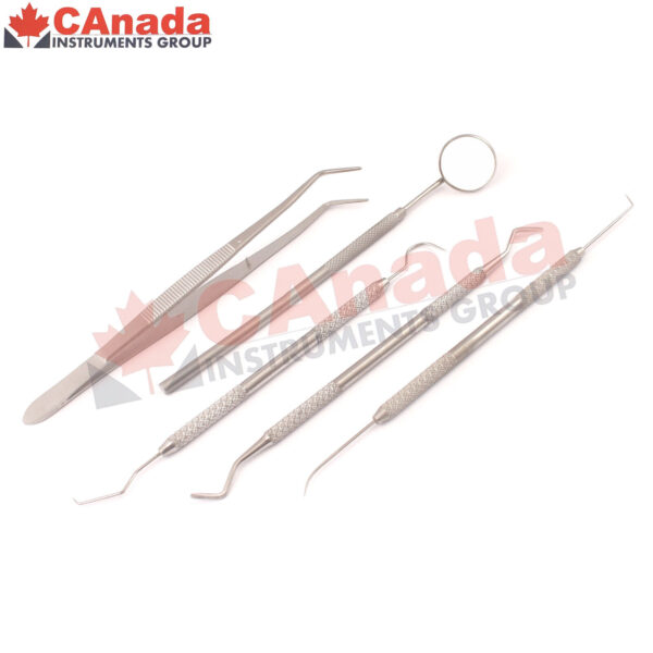 5Pcs Pick Carving Dental Tool Dentist Stainless Steel Clean Teeth Mirror PR-0061