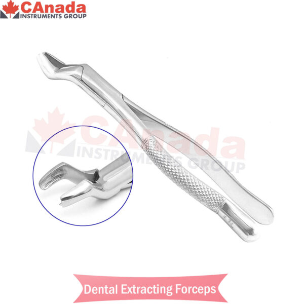 Extracting Forceps Dental Surgical Instruments 53L