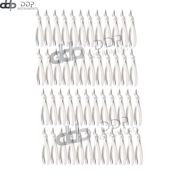 Lot Of 100 Pieces Tooth Extracting Forceps # 51L Surgical Dental Instruments
