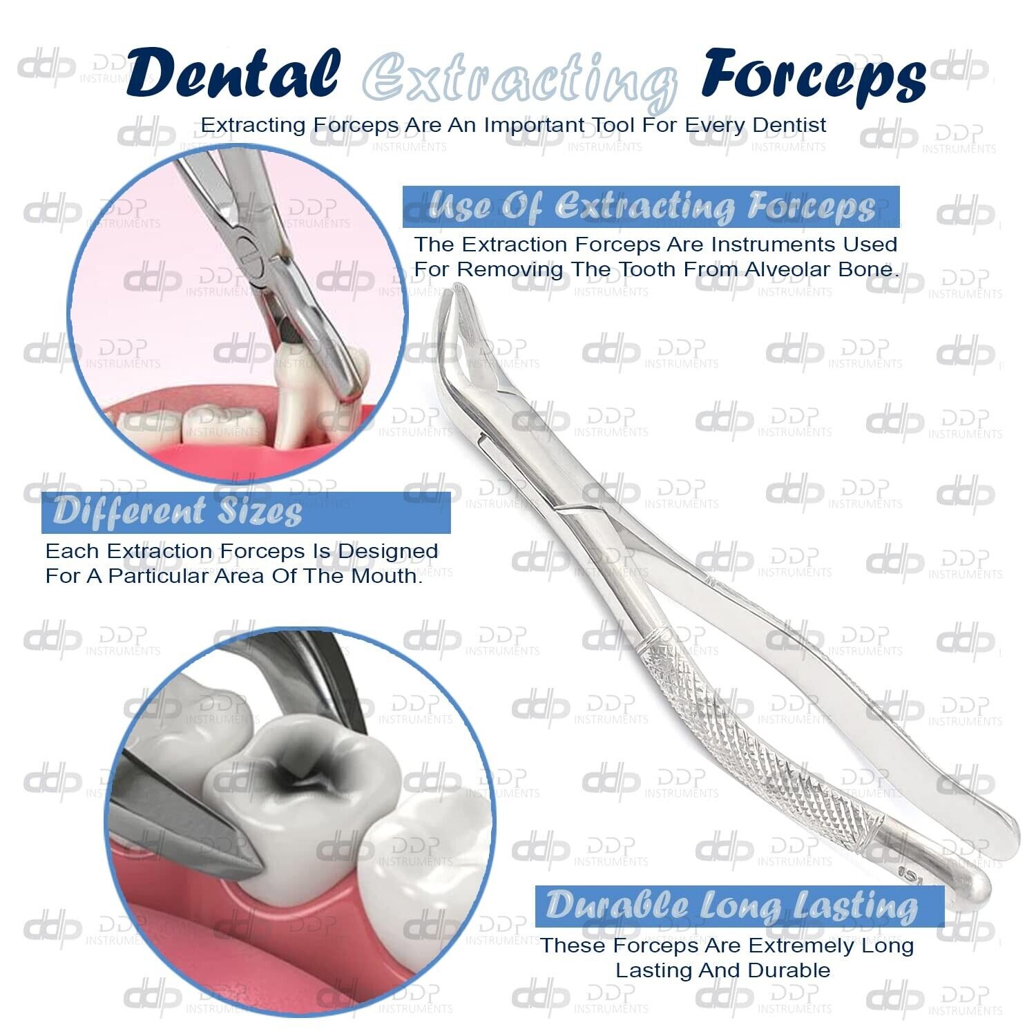 Lot-Of-12-Pieces-Tooth-Extracting-Forceps-151A-Surgical-Dental-Instruments-373503323067-3