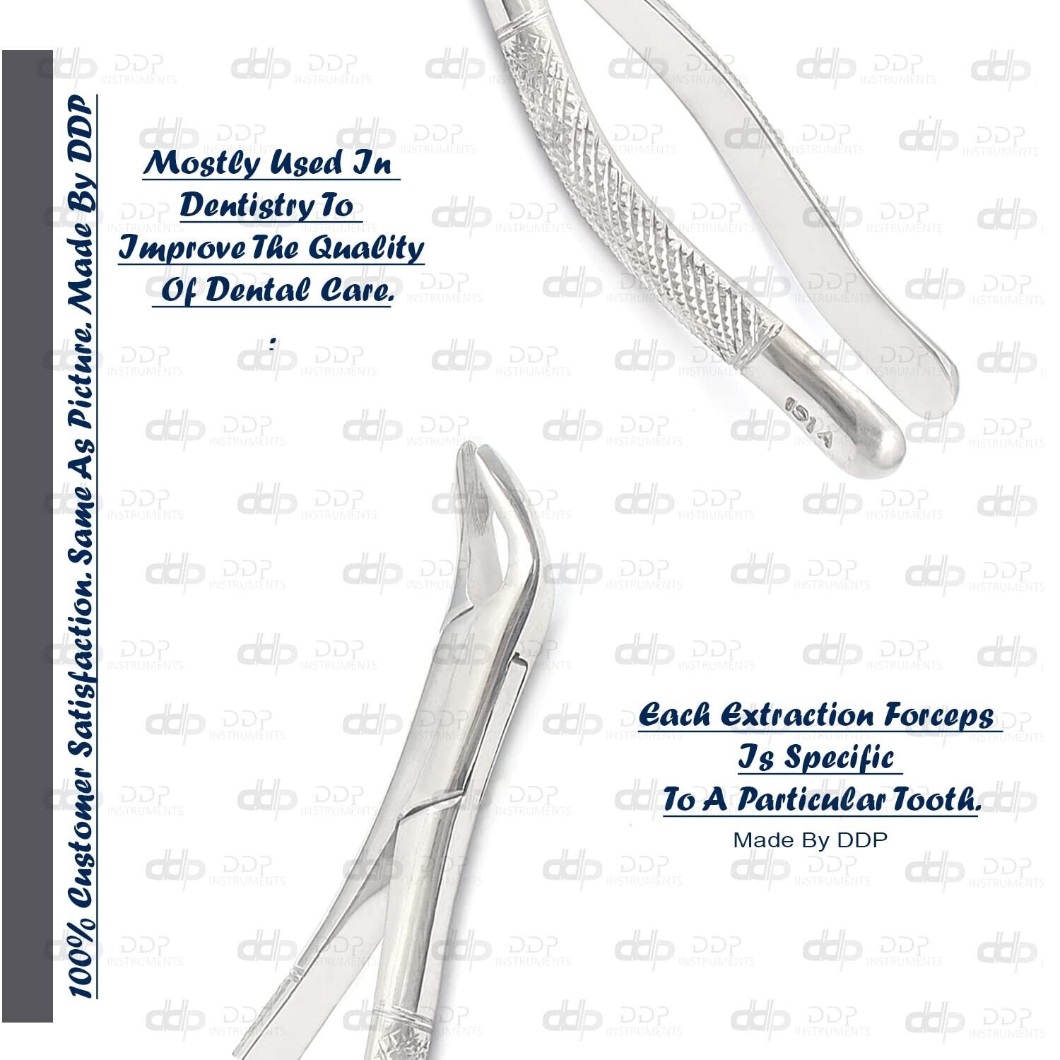 Lot-Of-12-Pieces-Tooth-Extracting-Forceps-151A-Surgical-Dental-Instruments-373503323067-4