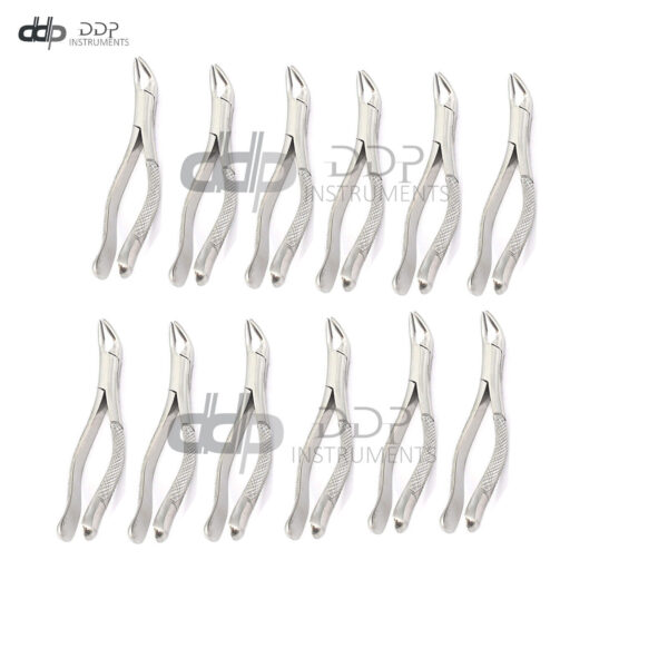 Lot Of 12 Pieces Tooth Extracting Forceps #151A Surgical Dental Instruments
