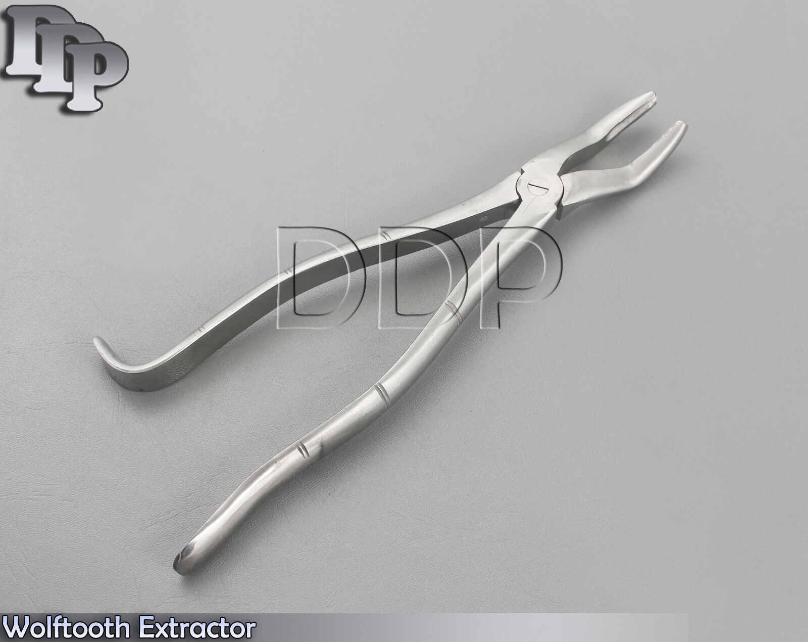 Wolftooth-Extractor-115-Veterinary-Instruments-New-131927603177