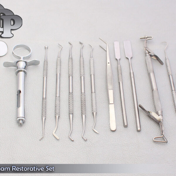 13 Pieces Amalgam Restorative Set with Sterilization Cassette