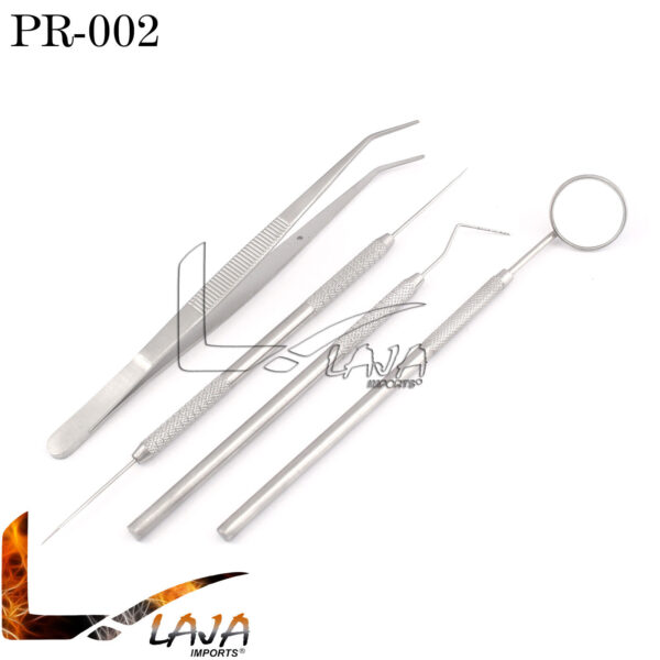 4 Pcs Stainless Steel Basic Dental Set Kit PR-002