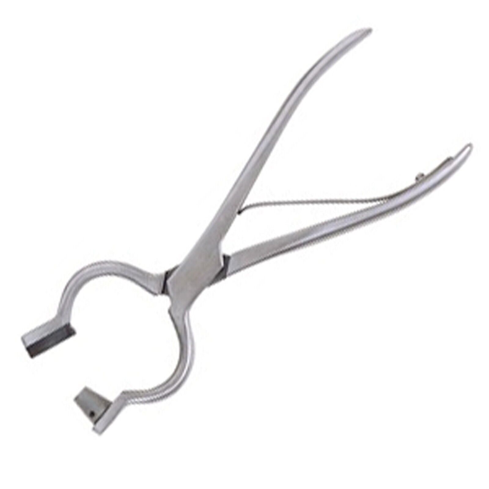 Bull-Nose-Punch-Veterinary-Instruments-111356096348