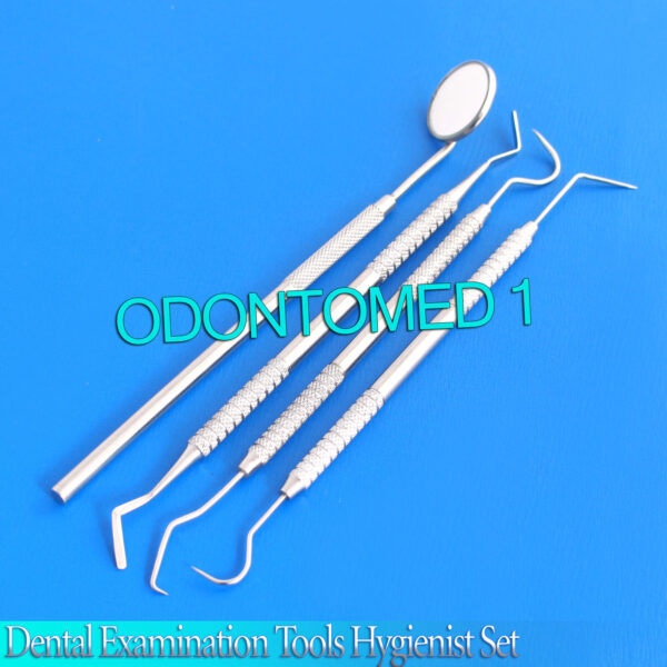 Dental Examination Tools Hygienist Scalers Kit Heideman Mouth Mirror Probes